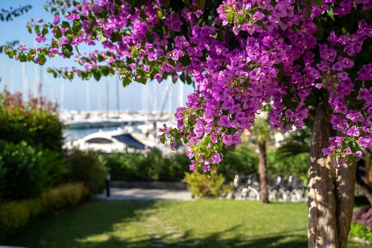 Blu Hotel Lavagna 3*,
